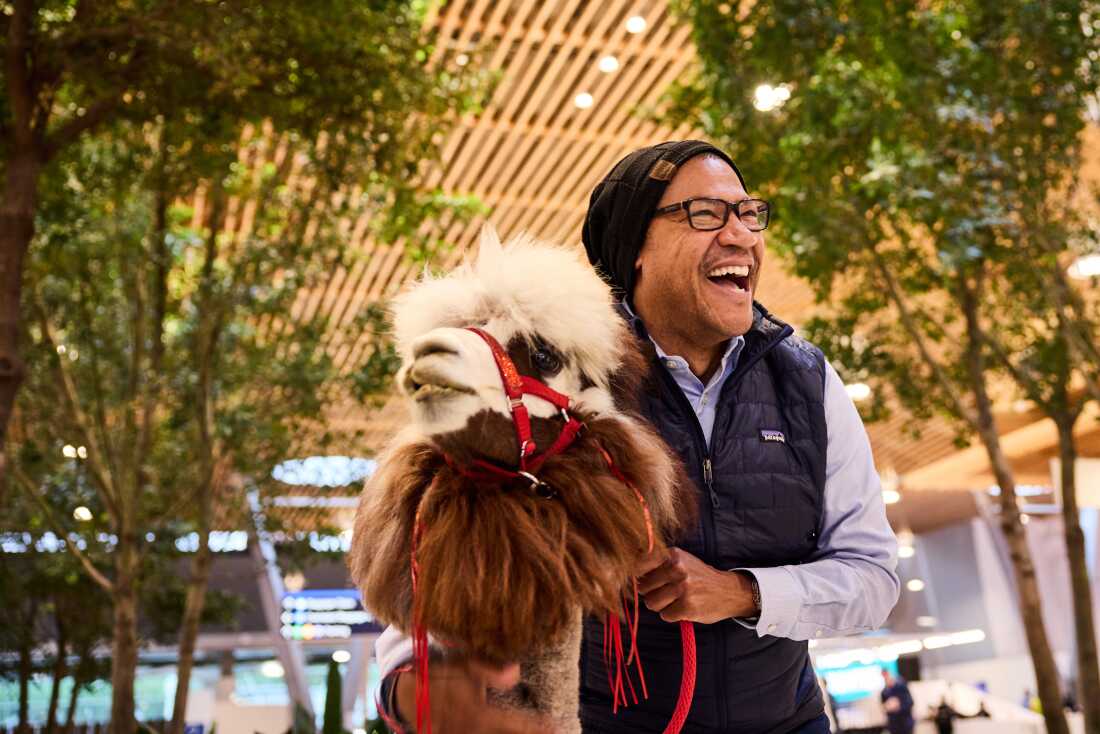 A therapy llama and alpaca spread joy and ease anxiety at the